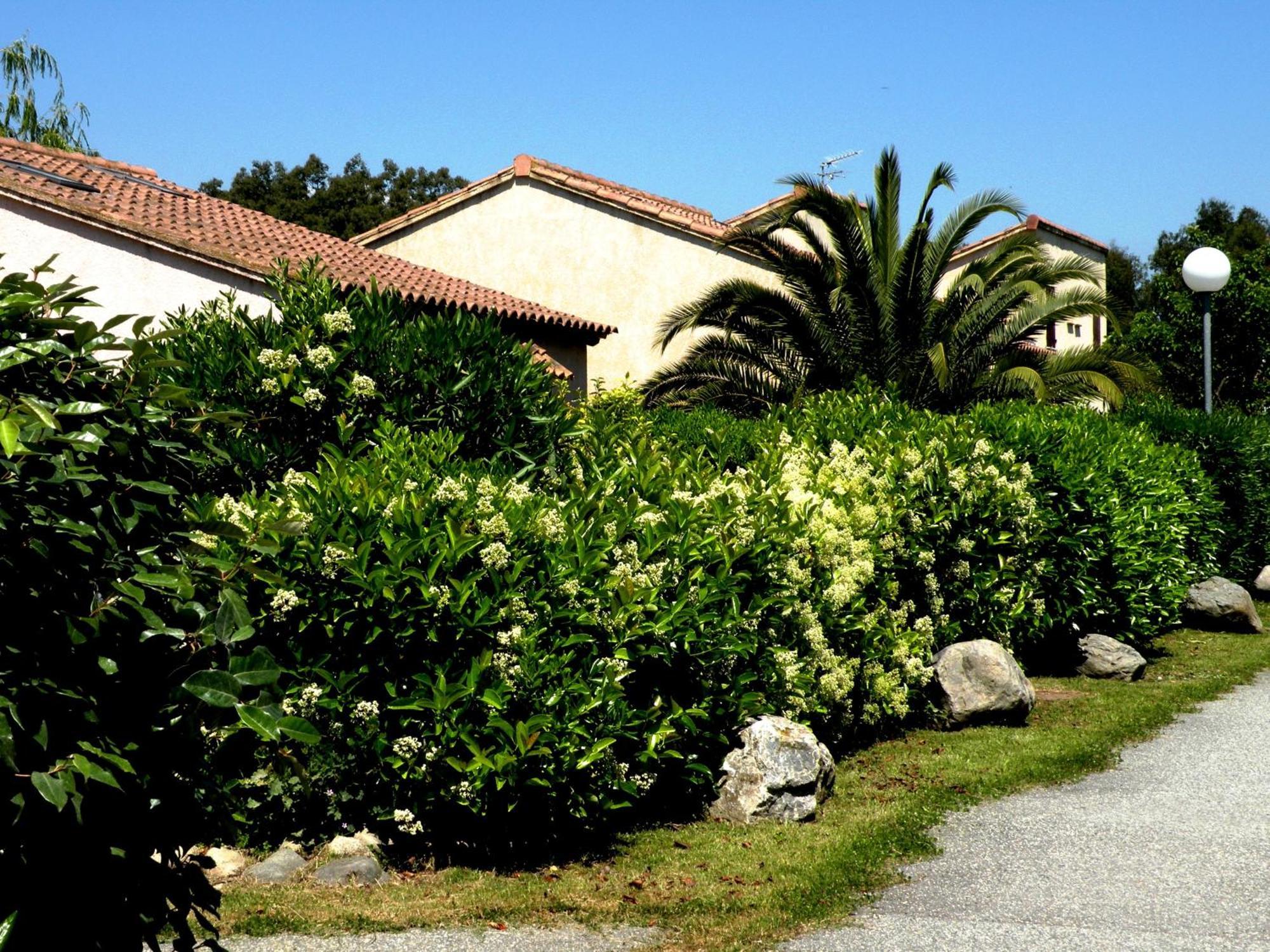 Residence De Tourisme Marina Corsa Ghisonaccia Eksteriør bilde